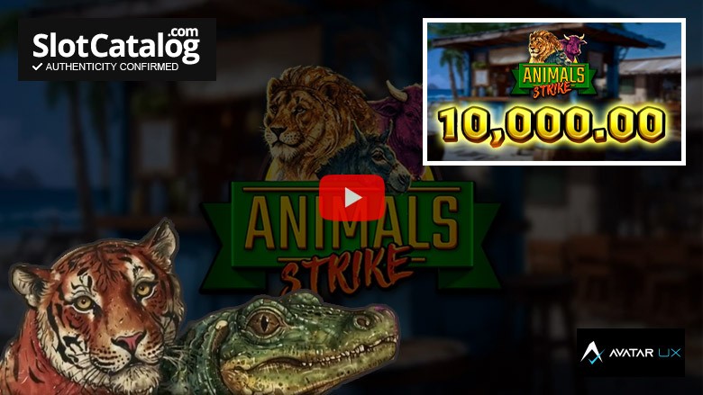 Κουλοχέρης Animals Strike Big Win Δεκέμβριος 2024