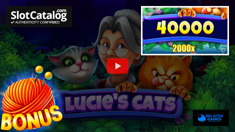 Lucie's Cats slot Big Win Νοέμβριος 2021