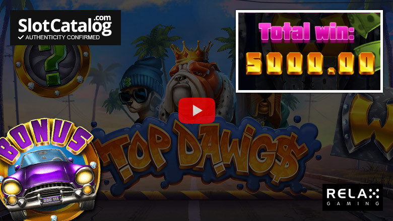 Κορυφαίος κουλοχέρη Dawgs Big Win Ιανουάριος 2022