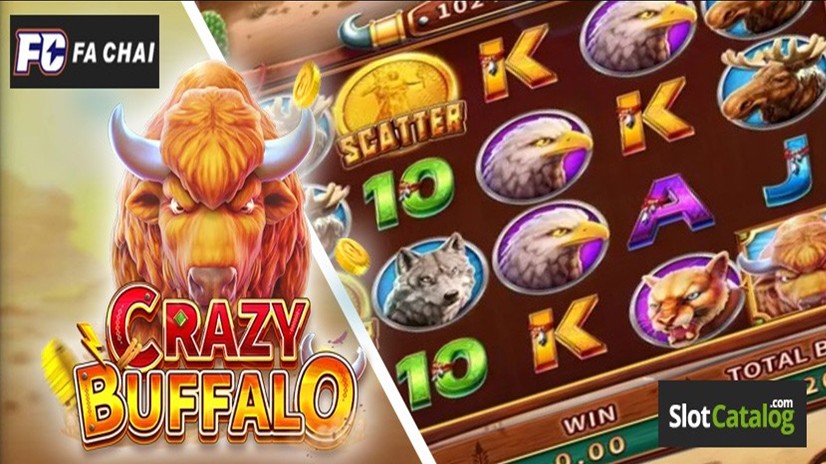 Crazy Buffalo Crazy Buffalo