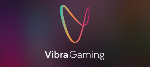 Vibra Gaming Vibra Gaming