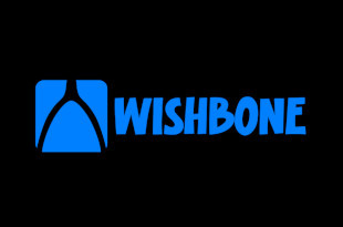 Wishbone Wishbone