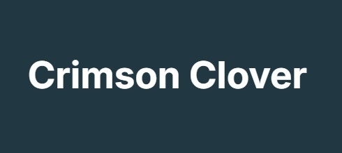 Crimson Clover