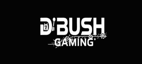 D Bush Gaming D Bush Gaming
