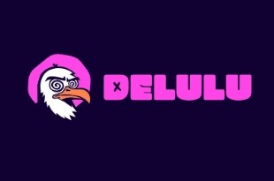 DELULU Gaming DELULU Gaming
