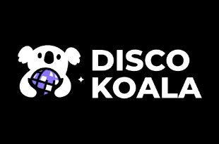 Disco Koala