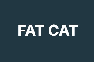 FAT CAT