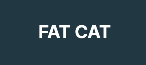 FAT CAT