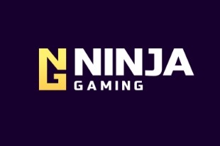Ninja Gaming Ninja Gaming