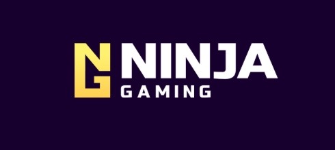 Ninja Gaming Ninja Gaming
