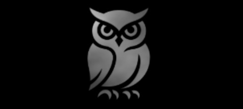 Owl Owl