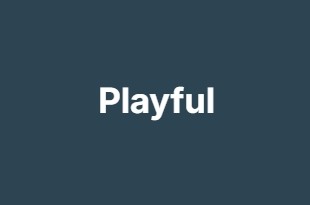 Playful Playful