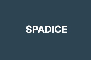 SPADICE SPADICE