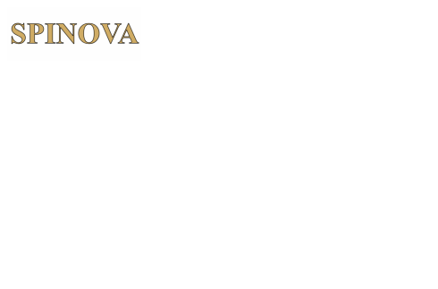 Spinova