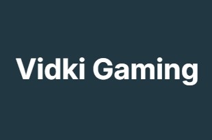 Vidki Gaming