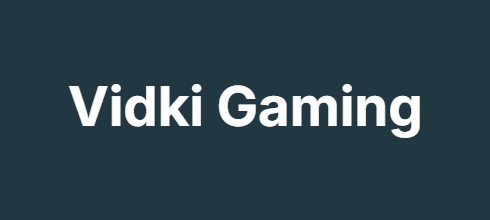 Vidki Gaming Vidki Gaming