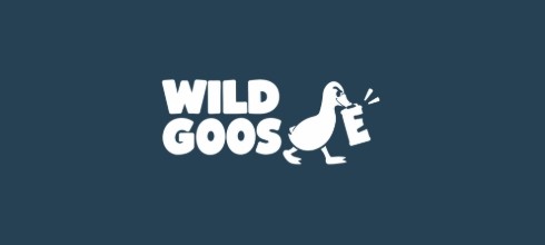 Wild Goose