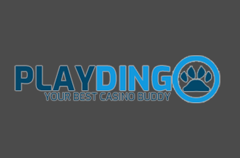 Play Dingo Play Dingo logo