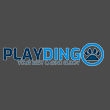 Play Dingo