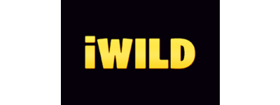 iWildcasino