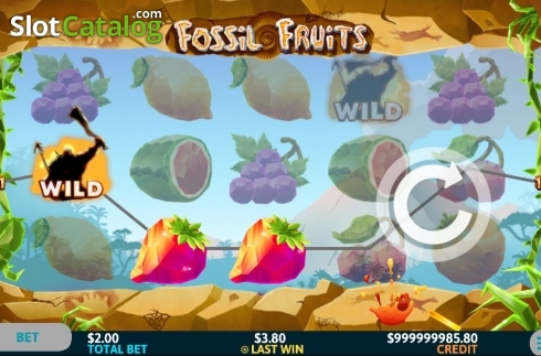 Οθόνη4. Fossil Fruits Κουλοχέρης