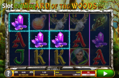 Οθόνη6. Wizard of the Woods Κουλοχέρης