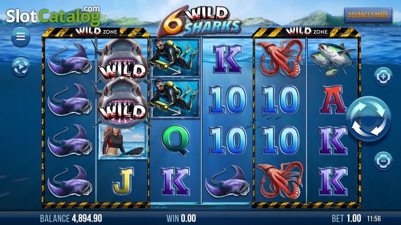 6-άγρια καρχαρίες 6-Wild-Sharks