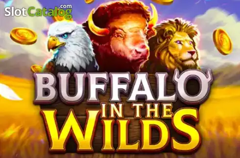 Buffalo in the Wilds 2026-06-16