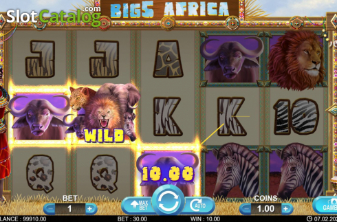 Οθόνη4. Big 5 Africa Κουλοχέρης