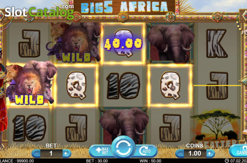 Οθόνη5. Big 5 Africa Κουλοχέρης