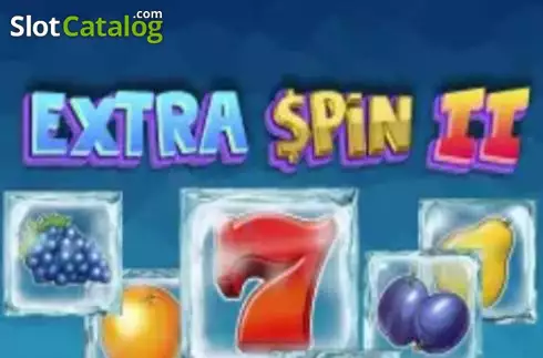 Extra Spin 2
