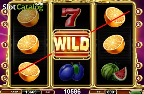 Οθόνη3. Blind Wild Κουλοχέρης