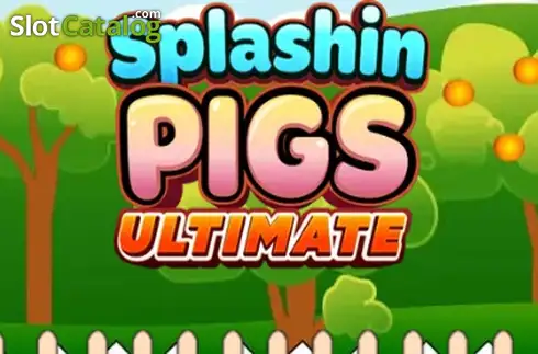 Splashin Pigs Ultimate 2026-04-14