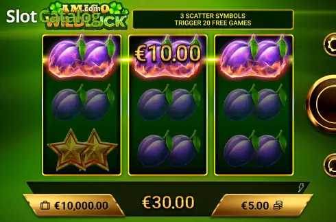 Οθόνη3. Amigo Wild Luck Κουλοχέρης 