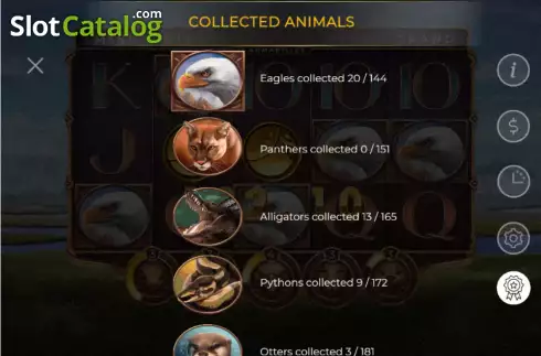 Οθόνη9. 15 Armadillos Κουλοχέρης