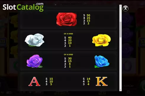 Οθόνη7. Ultra Stack Feature Rose Κουλοχέρης