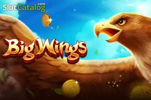 Big Wings Λογότυπο Big Wings Λογότυπο