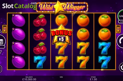 Οθόνη3. Wild Winner Κουλοχέρης