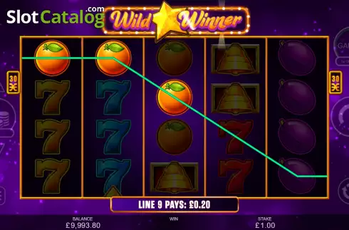 Οθόνη4. Wild Winner Κουλοχέρης