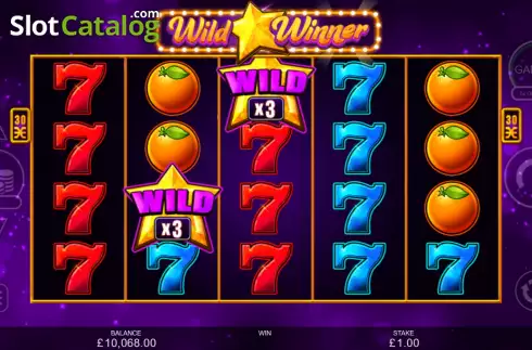 Οθόνη6. Wild Winner Κουλοχέρης