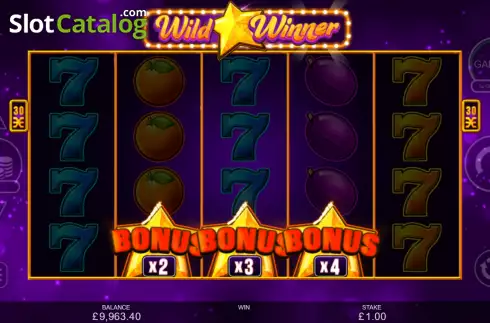 Οθόνη9. Wild Winner Κουλοχέρης