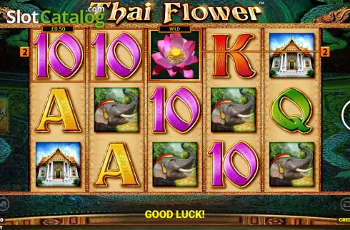 Οθόνη3. Thai Flower Power Play Κουλοχέρης