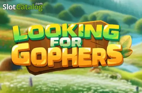 Looking For Gophers 2026-06-17