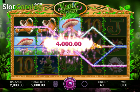 Οθόνη3. Magic Forest (Caleta Gaming) Κουλοχέρης