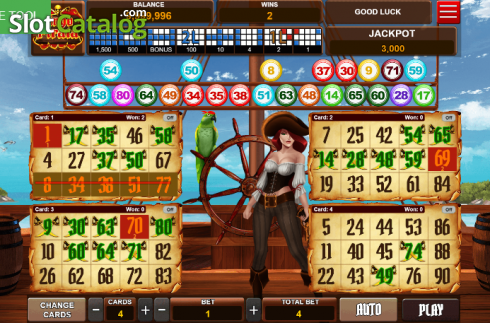 Οθόνη4. Bingo Pirata Κουλοχέρης