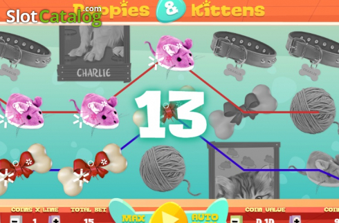Οθόνη4. Puppies and Kittens Κουλοχέρης