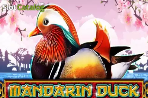 Mandarin Duck Λογότυπο Mandarin Duck Λογότυπο