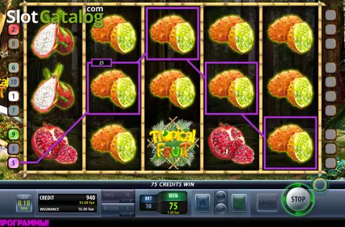 Οθόνη3. Tropical Fruit (Champion Studio) Κουλοχέρης