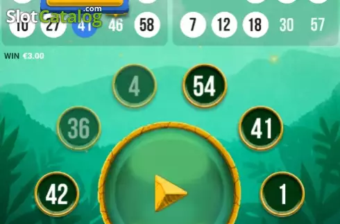 Οθόνη3. Tiger Bingo Κουλοχέρης