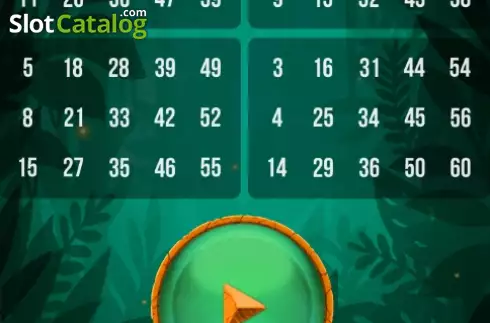 Οθόνη2. Tiger Bingo Express Κουλοχέρης 